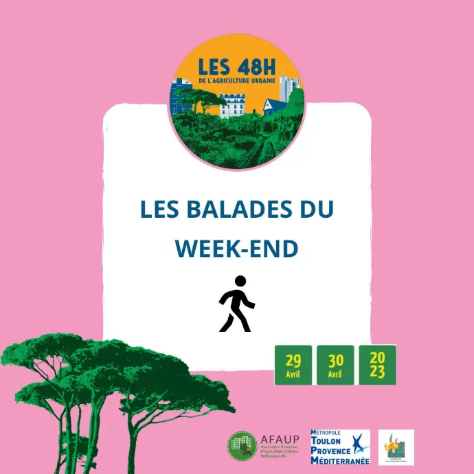 Post 5 - 48H pour l’Agriculture Urbaine