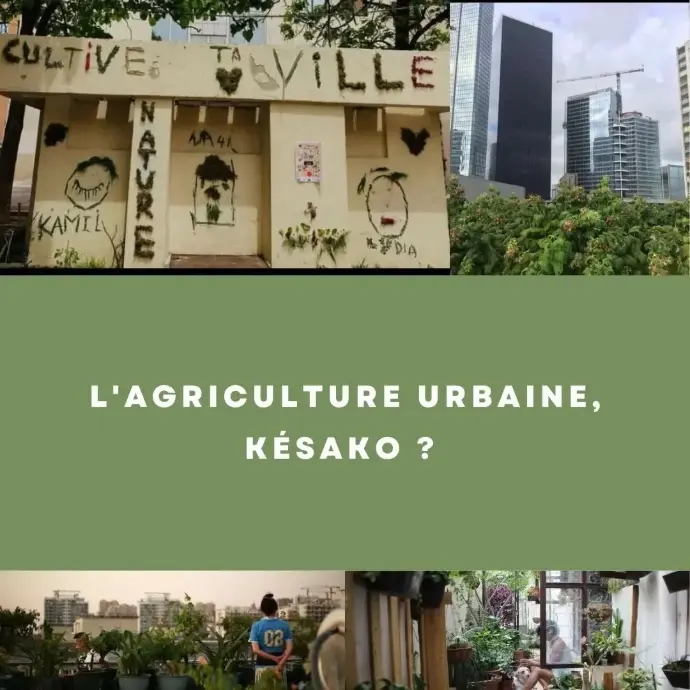 Infographie 1 - Comprendre l’Agriculture Urbaine
