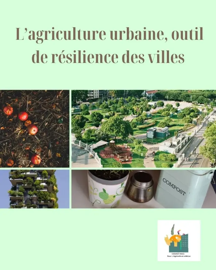 Infographie 2 - Résilience Urbaine