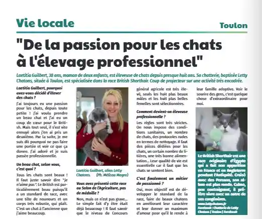Letty Chatons : Laetitia Guilbert, une passion féline au service du British Shorthair