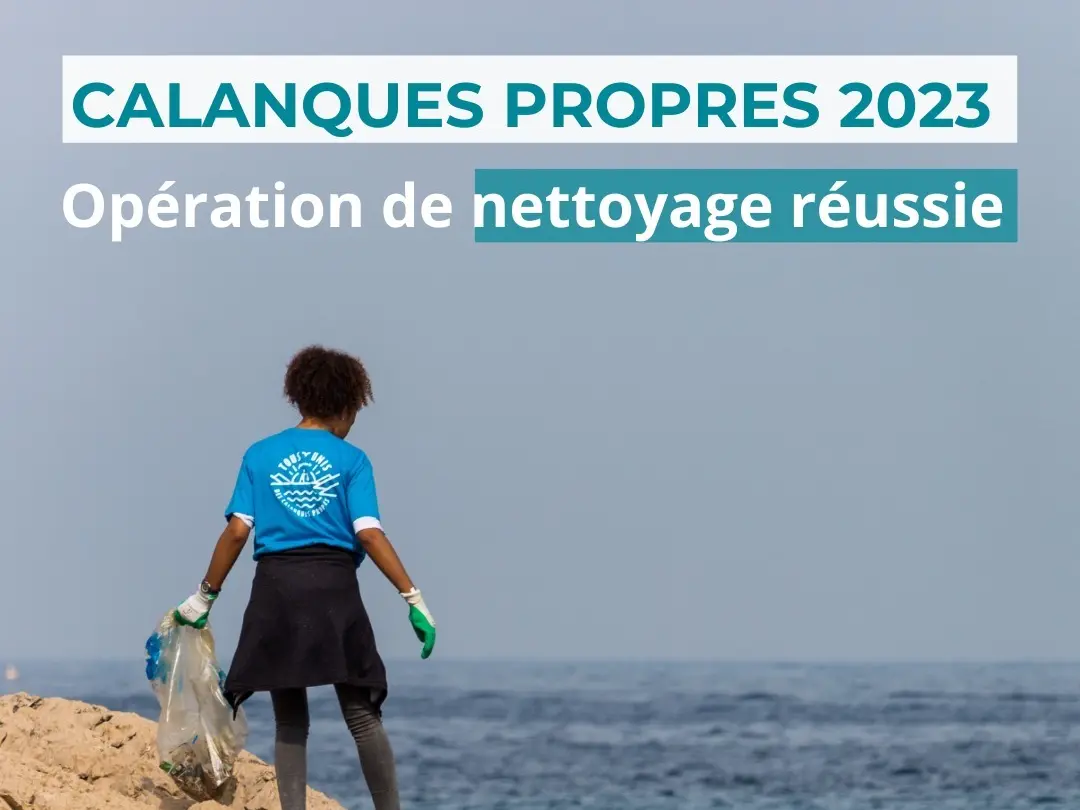 Opération Calanques Propres - Bleu Tomate