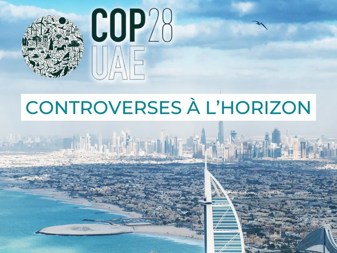 COP28 - Bleu Tomate